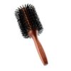Acca Kappa Duo Force Brush 885