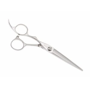 Passion Stainless Zeta Left Handed