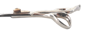 Alternative view of Tara XJ